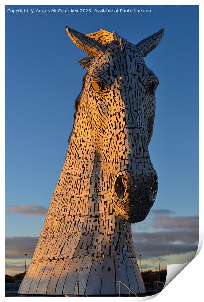 Kelpie at golden hour Print by Angus McComiskey