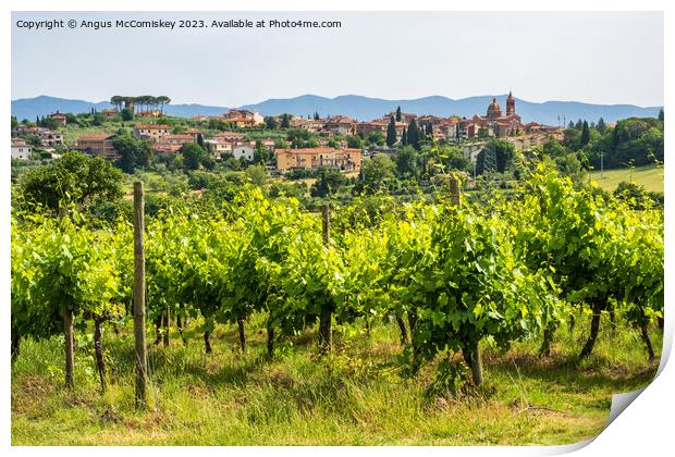 Vineyard near Pozzo della Chiana Tuscany Print by Angus McComiskey