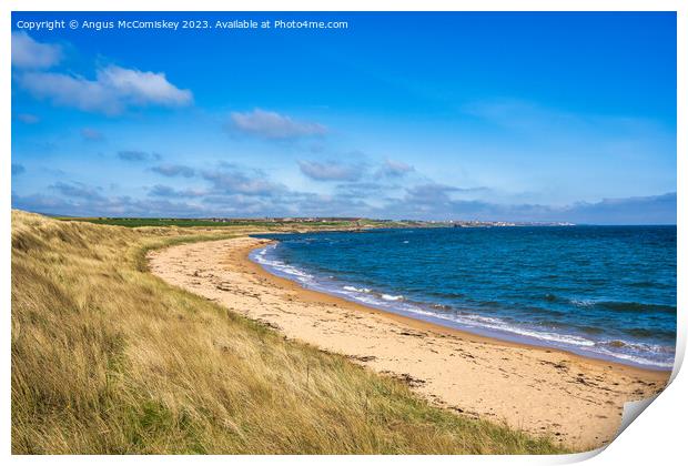 Golden sands of the Fife coast of Scotland Print by Angus McComiskey