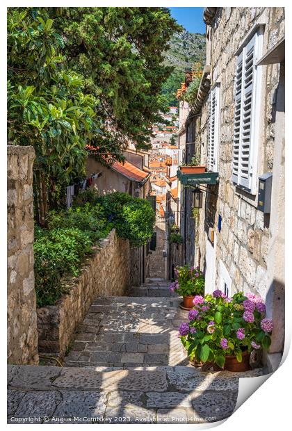 Picturesque Dubrovnik alleyway, Croatia Print by Angus McComiskey