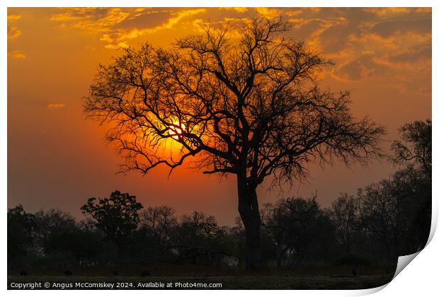 African sunset, Zambia Print by Angus McComiskey