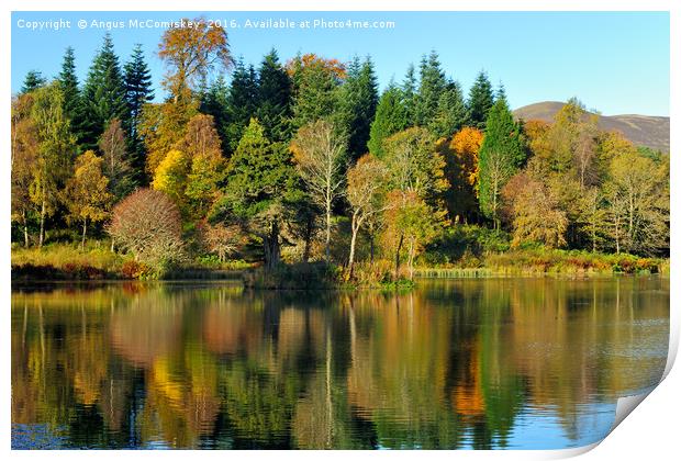 Autumn colours Penicuik Pond  Print by Angus McComiskey