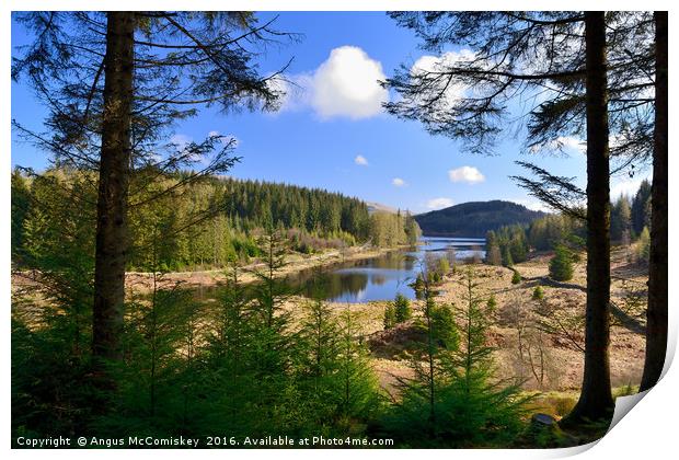 Achray Forest Drive Trossachs Print by Angus McComiskey