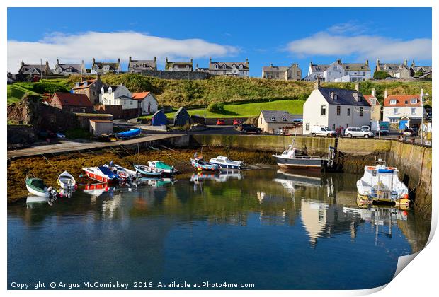 St Abbs harbour Print by Angus McComiskey