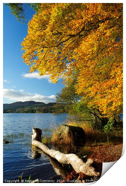 Lake of Menteith  autumn colours Print by Angus McComiskey