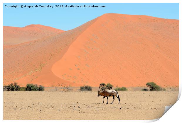 Lone male gemsbok crossing Namib desert Print by Angus McComiskey