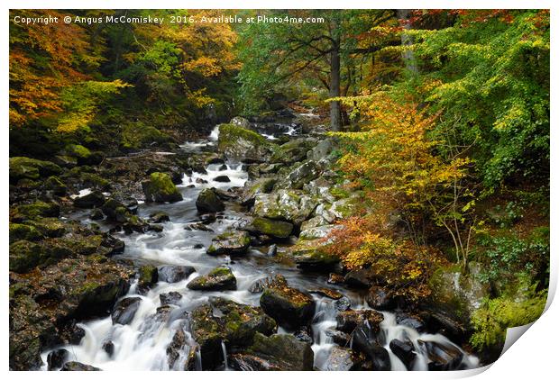 River Braan in autumn Print by Angus McComiskey