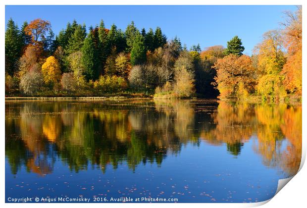 Penicuik Pond autumn colours Print by Angus McComiskey
