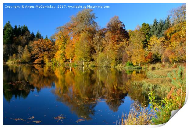Penicuik Pond autumn reflections Print by Angus McComiskey