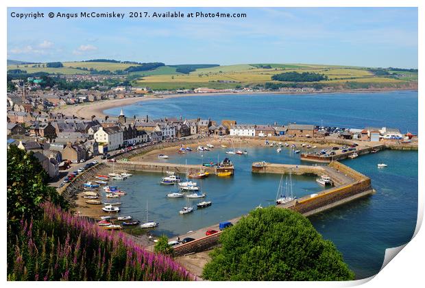 View across Stonehaven Harbour Print by Angus McComiskey