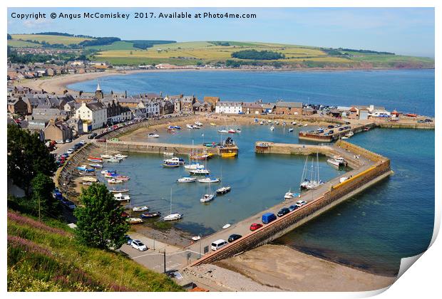 Looking down on Stonehaven Harbour Print by Angus McComiskey