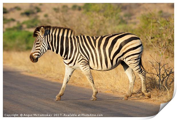 Zebra crossing Print by Angus McComiskey