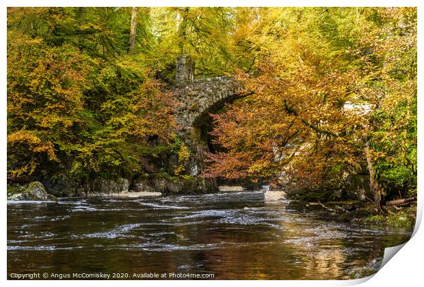 Stone bridge over River Braan in autumn Print by Angus McComiskey