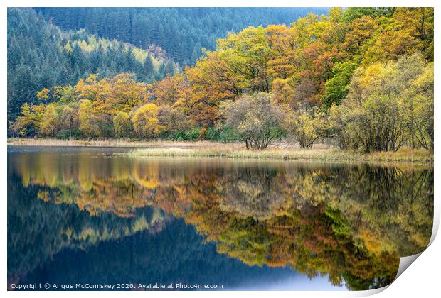 Autumn reflections on Loch Chon Print by Angus McComiskey