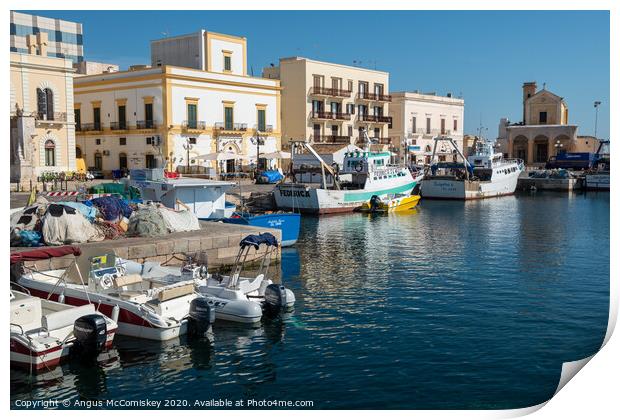 Gallipoli harbour in Puglia, Southern Italy Print by Angus McComiskey