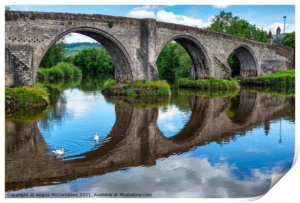 Old Stirling Bridge with swans Print by Angus McComiskey