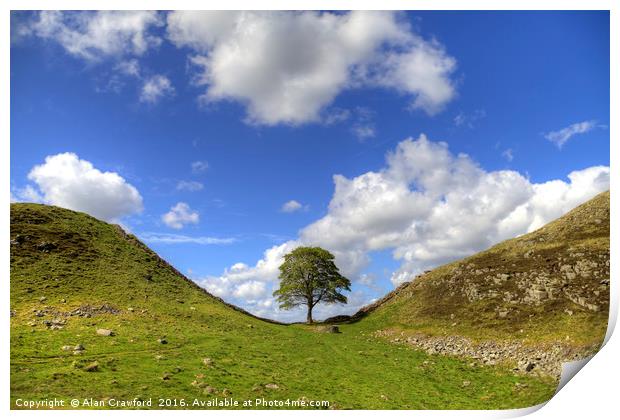 Sycamore Gap on Hadrian's Wall Print by Alan Crawford