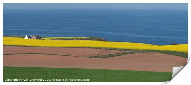 Croft and farm fields on the Scottish coast Print by Alan Crawford