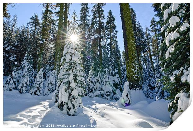 Winter Wonderland of Badger Pass in Yosemite Natio Print by Jamie Pham