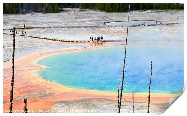 Overhead view of Grand Prismatic Spring in Yellows Print by Jamie Pham