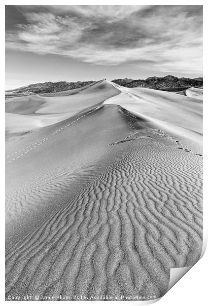 Early morning in the Mesquite Sand Dunes in Death  Print by Jamie Pham