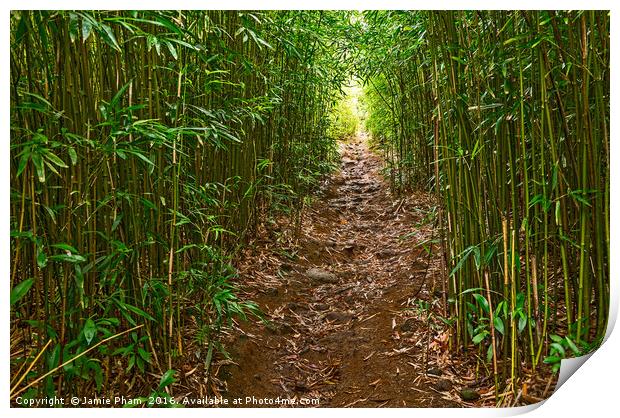 The magical bamboo forest of Maui  Print by Jamie Pham