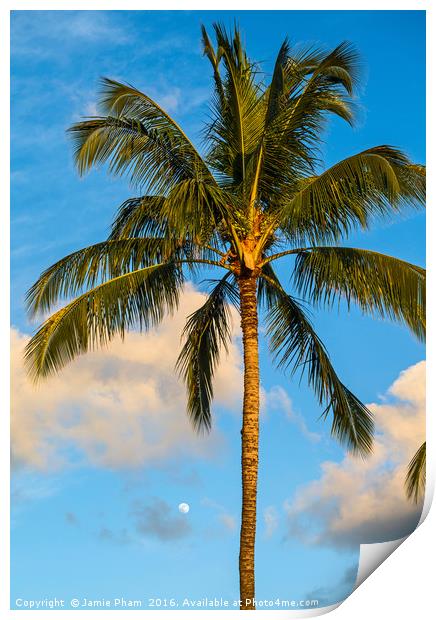 Beautiful coconut palm trees found on Maui, Hawaii Print by Jamie Pham