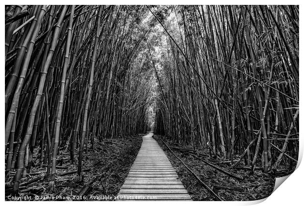 The magical and mysterious bamboo forest of Maui. Print by Jamie Pham