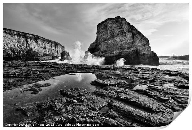 Dramatic view of Shark Fin Cove Print by Jamie Pham
