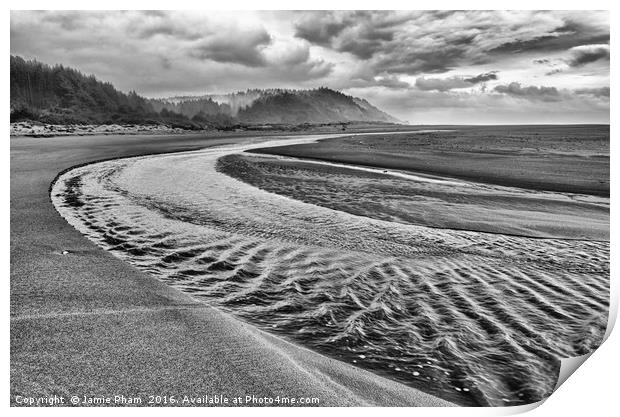 Gold Bluffs Beach is located in the Prairie Creek  Print by Jamie Pham