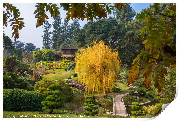 The beautiful fall colors of the Japanese Gardens Print by Jamie Pham