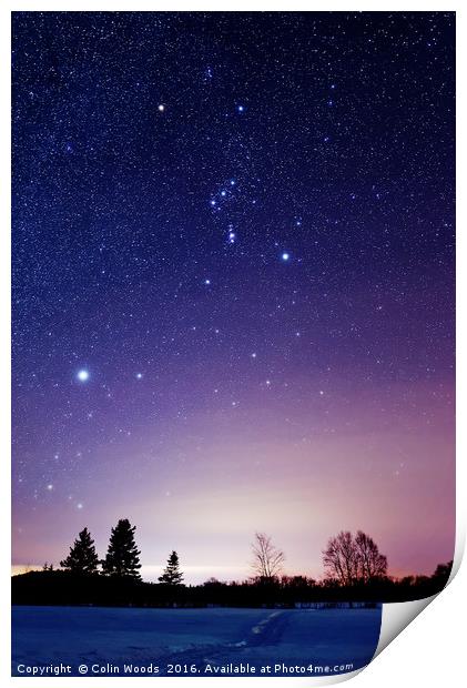 Orion and Sirius in the Winter Sky Print by Colin Woods