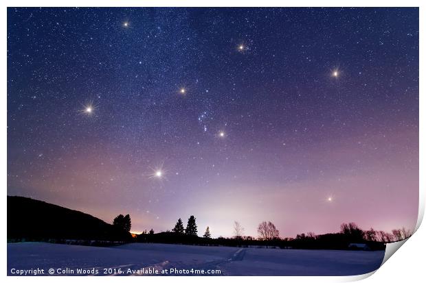 Orion and Sirius in the Winter Sky Print by Colin Woods