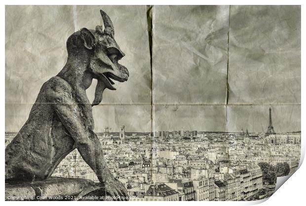 Paris from the Notre Dame de Paris   Print by Colin Woods