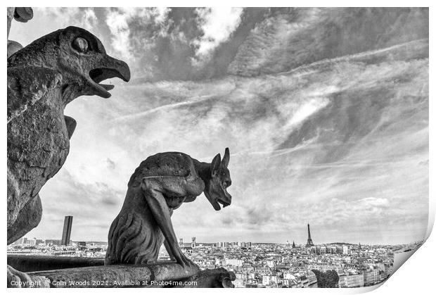 Paris from the Notre Dame de Paris  Print by Colin Woods