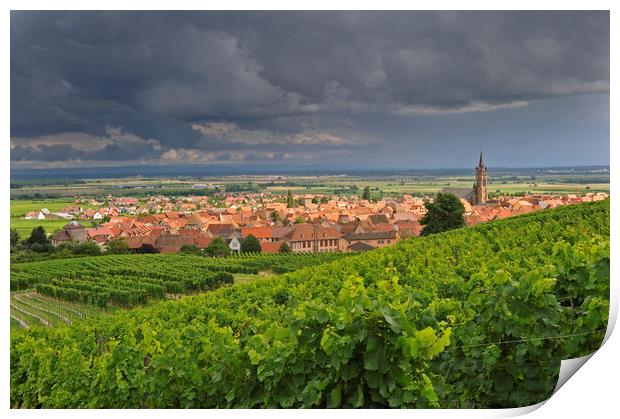 Vineyards and Dambach-la-Ville, Vosges Print by Arterra 