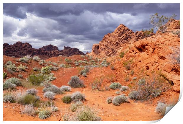 Valley of Fire State Park, Nevada Print by Arterra 