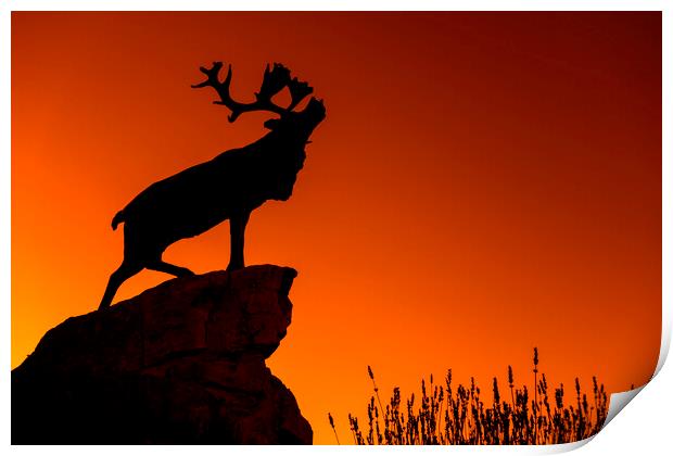 Beaumont-Hamel Newfoundland Memorial Print by Arterra 