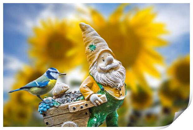 Bird and Garden Gnome Print by Arterra 