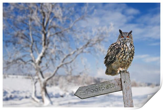 Eurasian Eagle Owl Perched in Winter Print by Arterra 