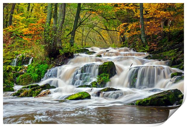 Waterfall in Autumn Forest Print by Arterra 