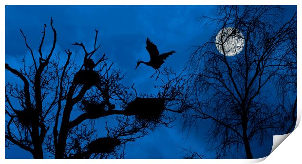 Heron Landing on Nest at Night Print by Arterra 