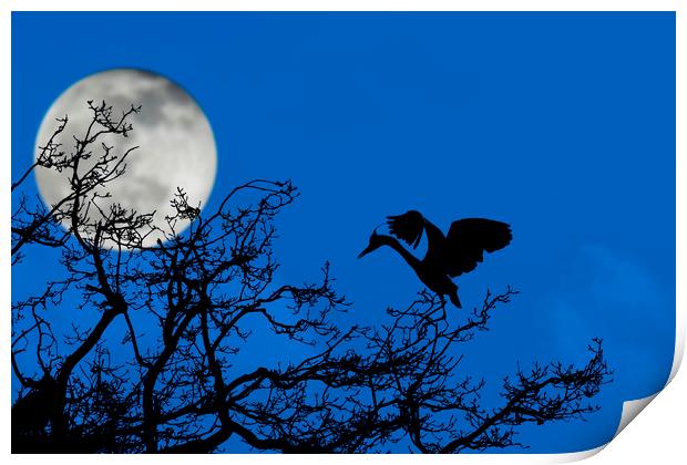 Grey Heron in Tree at Full Moon Print by Arterra 