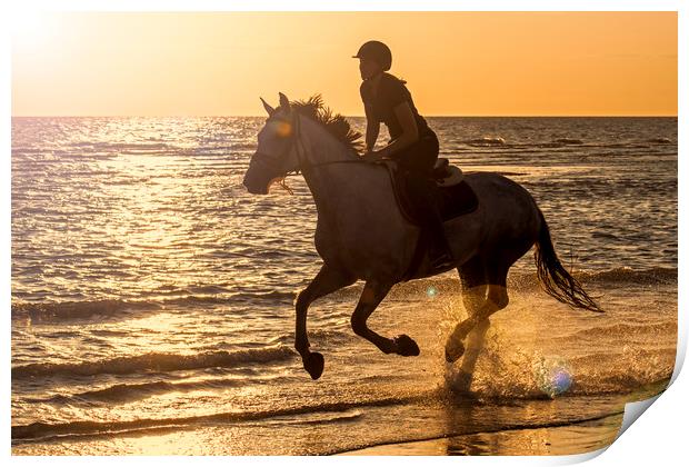 Galloping at Sunset Print by Arterra 