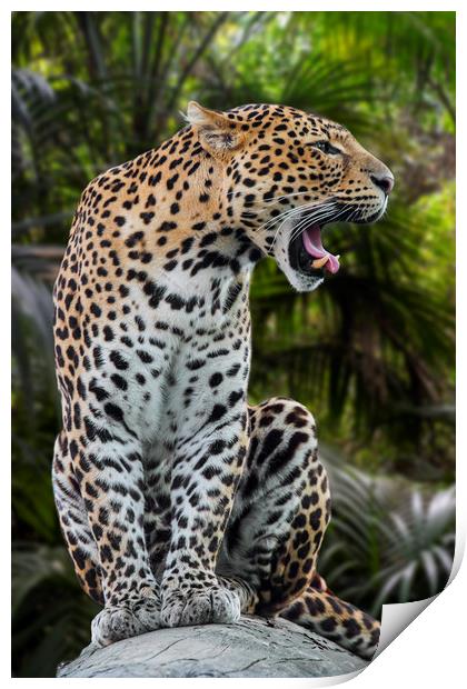 Roaring Leopard Print by Arterra 