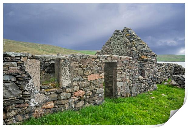 Ruined Croft in Shetland Print by Arterra 