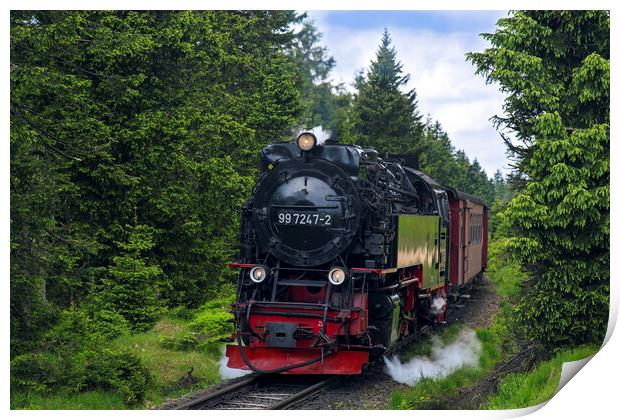 Steam Train Neubaulokomotive in the Harz National Park Print by Arterra 