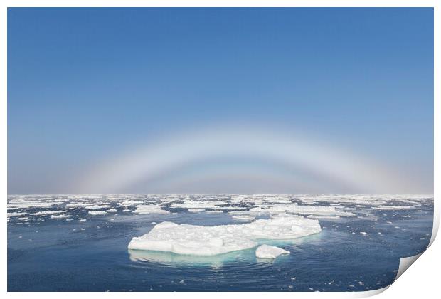 Fogbow over the Arctic Sea Print by Arterra 