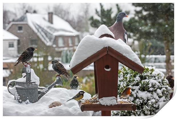 Bird Feeder in the Snow in Winter Print by Arterra 