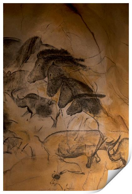 Chauvet Cave Art Print by Arterra 
